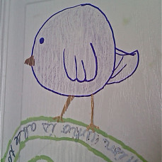 Closet Door Mural Bird